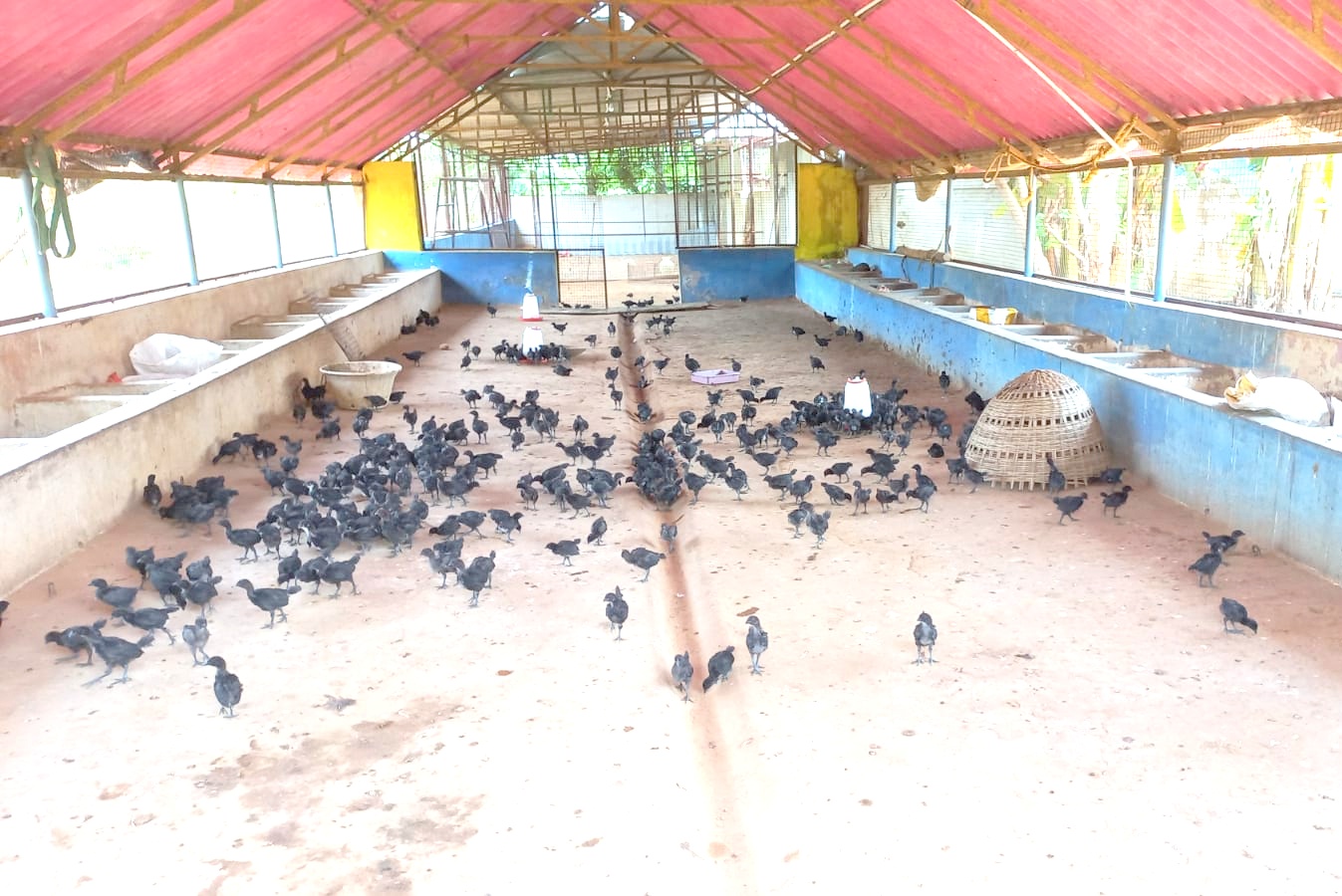 COVID – 19 - Relief, Livelihood Enhancement & Green Community for COVID – 19 Pandemic Victims