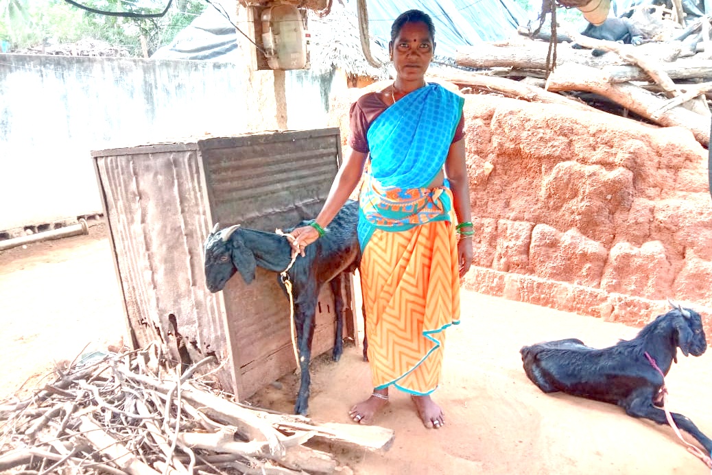 COVID – 19 - Relief, Livelihood Enhancement & Green Community for COVID – 19 Pandemic Victims