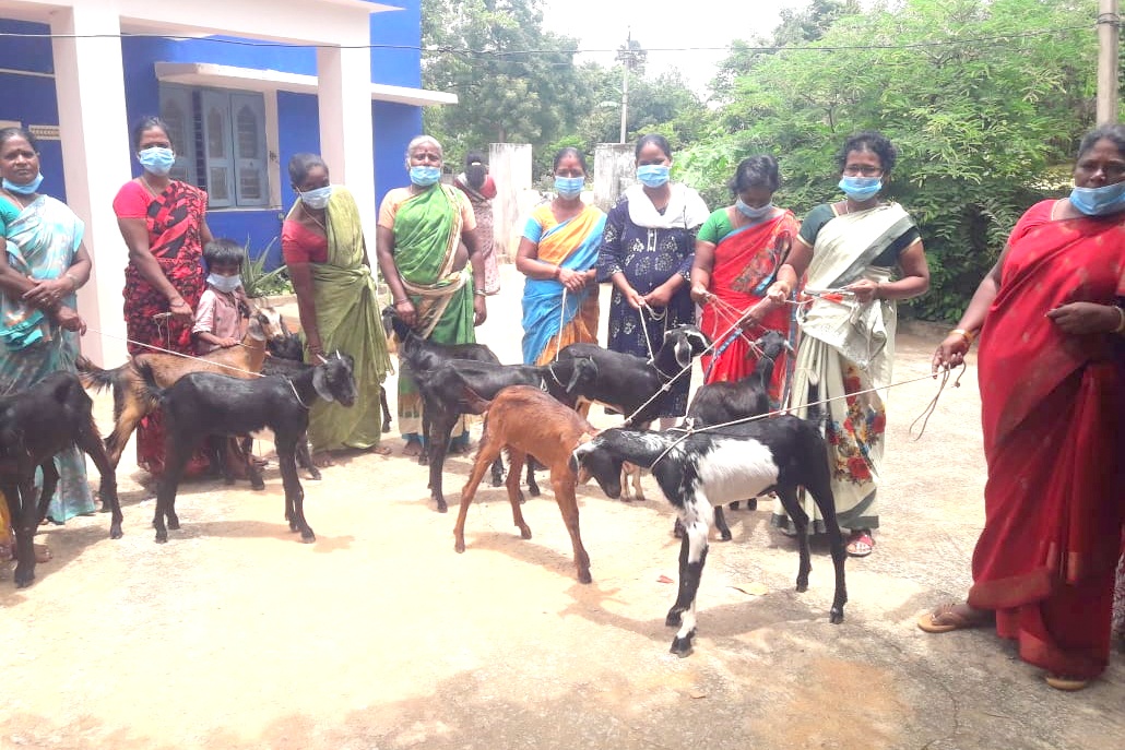 COVID – 19 - Relief, Livelihood Enhancement & Green Community for COVID – 19 Pandemic Victims