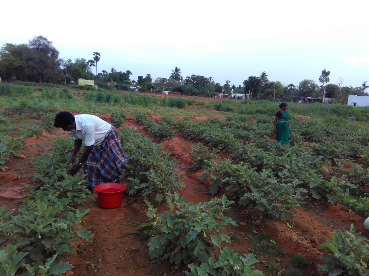 Farmer federation gathering