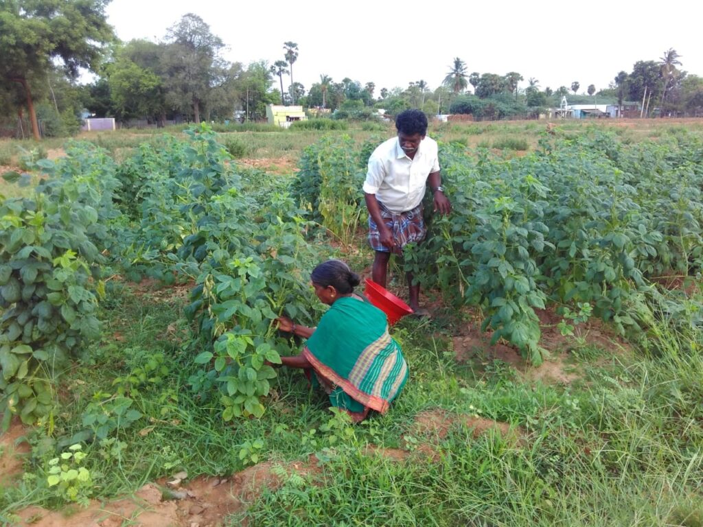 Green initiatives and land restoration