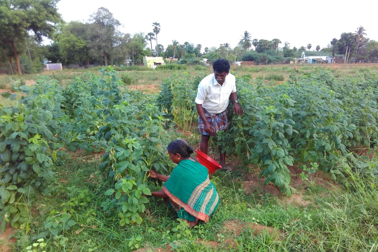 Environment & Ecological Sustainability Image 5